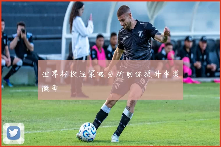 世界杯投注策略分析助你提升中奖概率